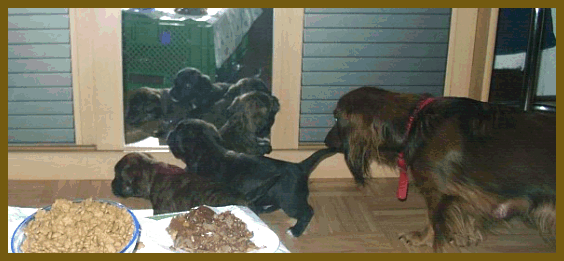 Wir machen einen Ausflug.