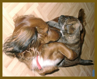 Auf Mama kletter macht Spaß