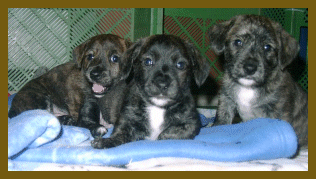 Sind wir nicht lieb?