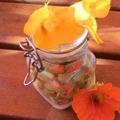 Artikelbild Allerlei Rezepte mit Kapuzinerkresse
